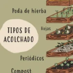 Protege tus plantas: Aprende cómo utilizar el mulch correctamente