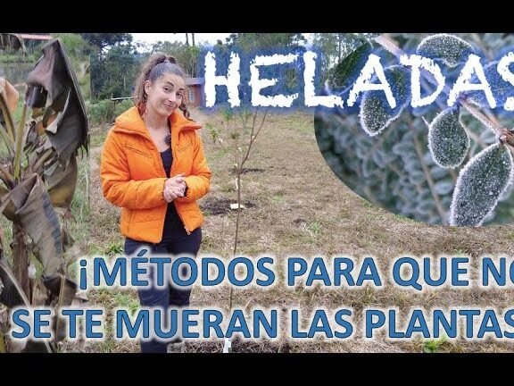 proteger plantas