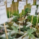 Regala vida con cestas de regalo de jardinería artesanales