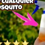 repelentes caseros