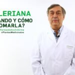 Guía completa para plantar valerianas en tu jardín