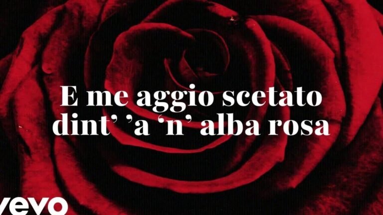 Descubre la sorprendente verdad sobre las rosas: ¿propagación propia o injertadas? Te sorprenderá la respuesta.