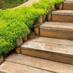 Escalones de madera bordeados por un denso tapiz verde de sedum; ¡Descubre cómo plantar Sedums Rupestre con éxito en tu jardín! ✨