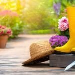 Selección de plantas ideales para crear un jardín mediterráneo