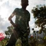 Sembrar amapolas en el jardín: guía fácil y práctica