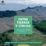 Sembrar anturios en tierra: una opción sencilla y efectiva