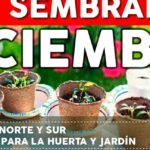 Macetas biodegradables con pequeñas plántulas frente a un gran cartel que dice DICIEMBRE; ¡Descubre qué se puede plantar en diciembre para dar vida a tu jardín!