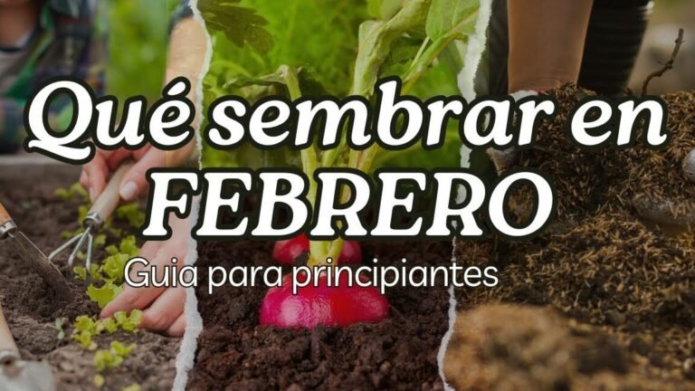 ¡Descubre qué se puede plantar en el mes de febrero para tener un jardín floreciente!