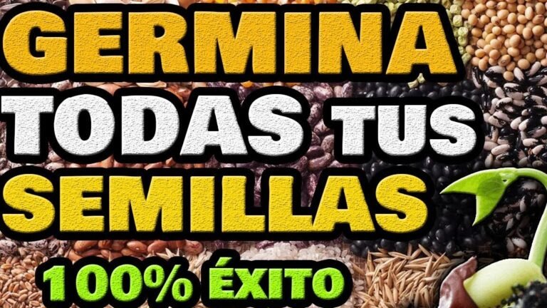 sembrar semillas