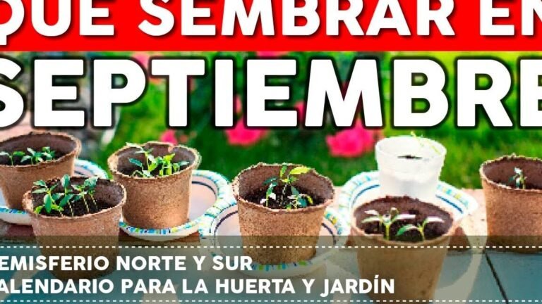 sembrar septiembre
