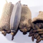 Descubre los increíbles beneficios de las semillas de baobab