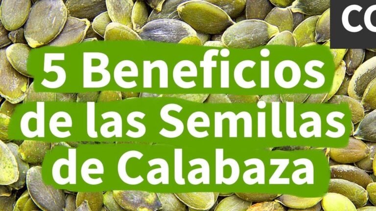 Guía completa: Cómo plantar calabacines en tu jardín fácilmente