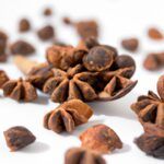 Descubre todo sobre las semillas de canela del Canelo