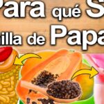 Ilustración sobre semillas y pulpa de papaya con esquema del sistema digestivo y persona con molestias abdominales; ¡Descubre cómo plantar papayos y disfrutar de tus propias frutas frescas en casa!