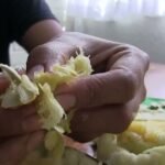 Descubre las sorprendentes etapas de crecimiento del zucchini y cuánto tiempo tarda en crecer realmente