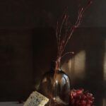 Siembra alubias en algodón y disfruta de una cosecha casera