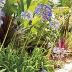 Siembra aromas de otoño: plantas aromáticas ideales para tu jardín