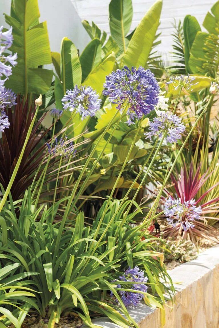 siembra aromas de otono plantas aromaticas ideales para tu jardin
