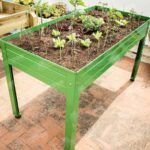 Siembra belleza en tu jardín: Cómo cultivar semillas de pensamientos