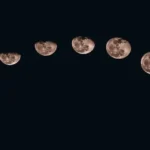 Siembra con éxito en luna creciente: guía para Argentinos