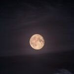 Siembra con éxito en luna nueva: consejos y beneficios