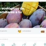 Siembra con éxito en septiembre en Valladolid: ¡descubre qué plantar!