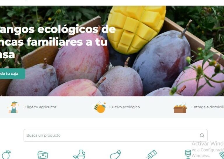 siembra con exito en septiembre en valladolid descubre que plantar