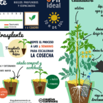 Siembra en abril: descubre las plantas ideales para tu jardín