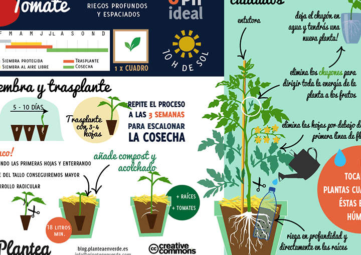 siembra en abril descubre las plantas ideales para tu jardin