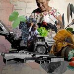 Siembra en agosto: el huerto argentino sigue dando frutos