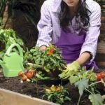 Siembra en casa: 5 semillas fáciles de cultivar