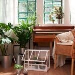 Siembra en casa: cultiva tus propias plantas en interiores