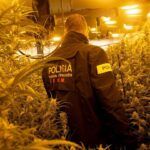 Siembra en febrero: descubre qué plantar en Cataluña