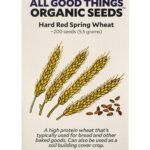 Siembra en invierno y disfruta en primavera: ¡Descubre qué plantar!