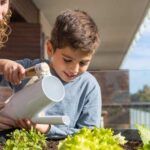 Siembra en julio y disfruta de tu huerto urbano: qué plantar ahora