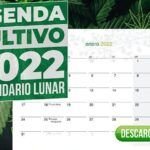 Siembra en luna llena: guía para el hemisferio sur