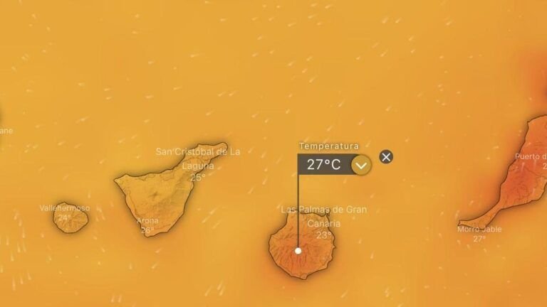 siembra en noviembre en canarias descubre que plantar ahora