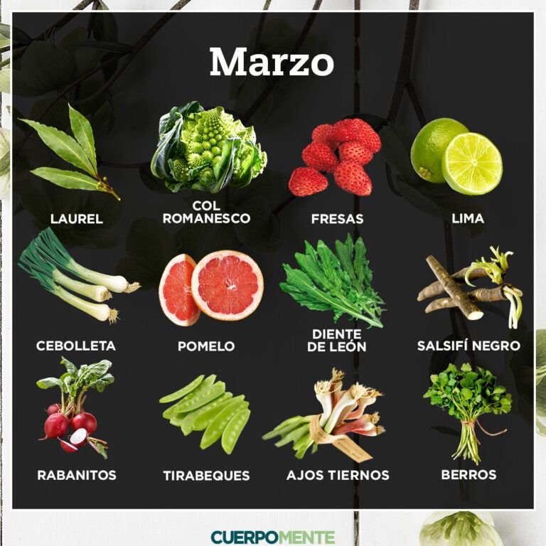siembra en otono descubre los mejores vegetales para cultivar