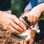 Siembra en otoño: qué plantar en octubre y noviembre