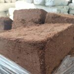 Siembra éxito en enero en Mallorca: Descubre qué plantar