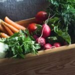 Siembra éxito en febrero: qué plantar en tu invernadero