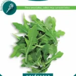 ¡Siembra éxito en junio! Descubre qué plantar este mes