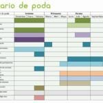 Siembra éxito en tu huerto: qué plantar en septiembre en Galicia