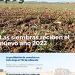 Siembra éxitos en agosto: Qué plantar en España este mes