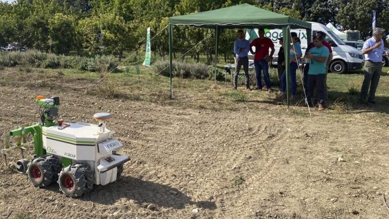siembra exitos en enero en asturias que plantar y como hacerlo