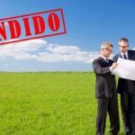 Siembra éxitos en enero: qué plantar en Madrid