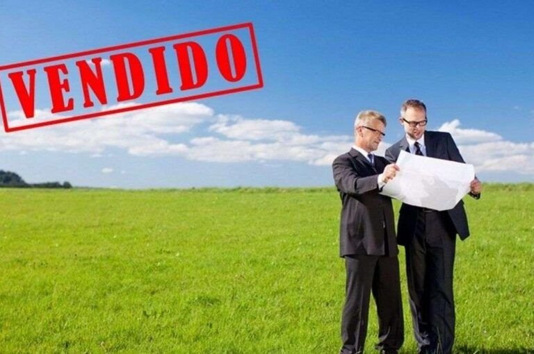 siembra exitos en enero que plantar en madrid