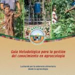 Siembra habas fácilmente en el campo: guía completa