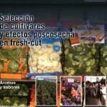 Siembra la clave del éxito en enero: qué plantar en Alicante