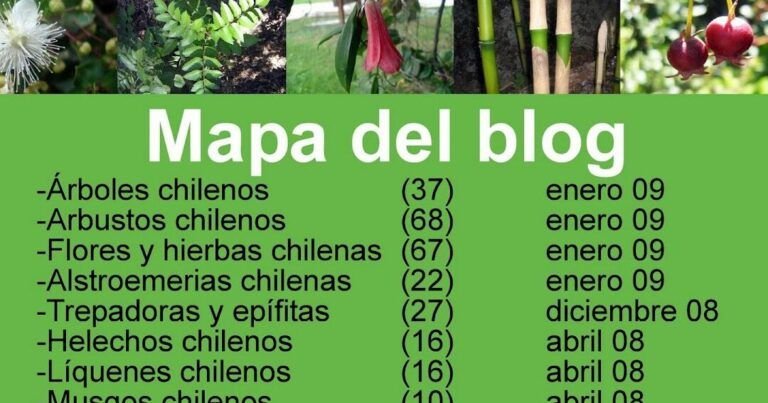 siembra la cosecha de tus suenos en otono que sembrar en octubre noviembre y diciembre